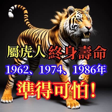 1986 屬虎|1986年屬虎是什麼命？最全虎命命相批註！